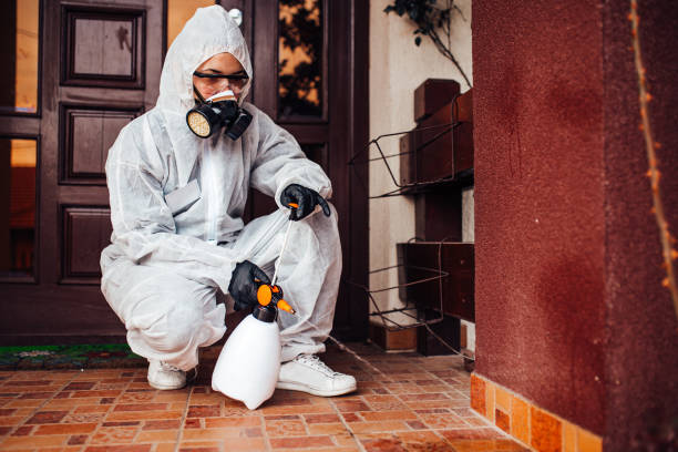 Reliable Wasp Removal contractor in Covington, VA by Show Me Pest Control